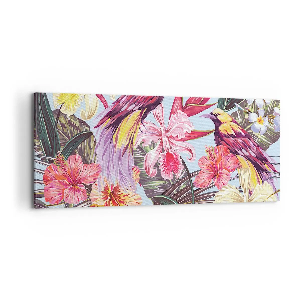 Obraz na plátně - Plátky a pírka - 100x40 cm