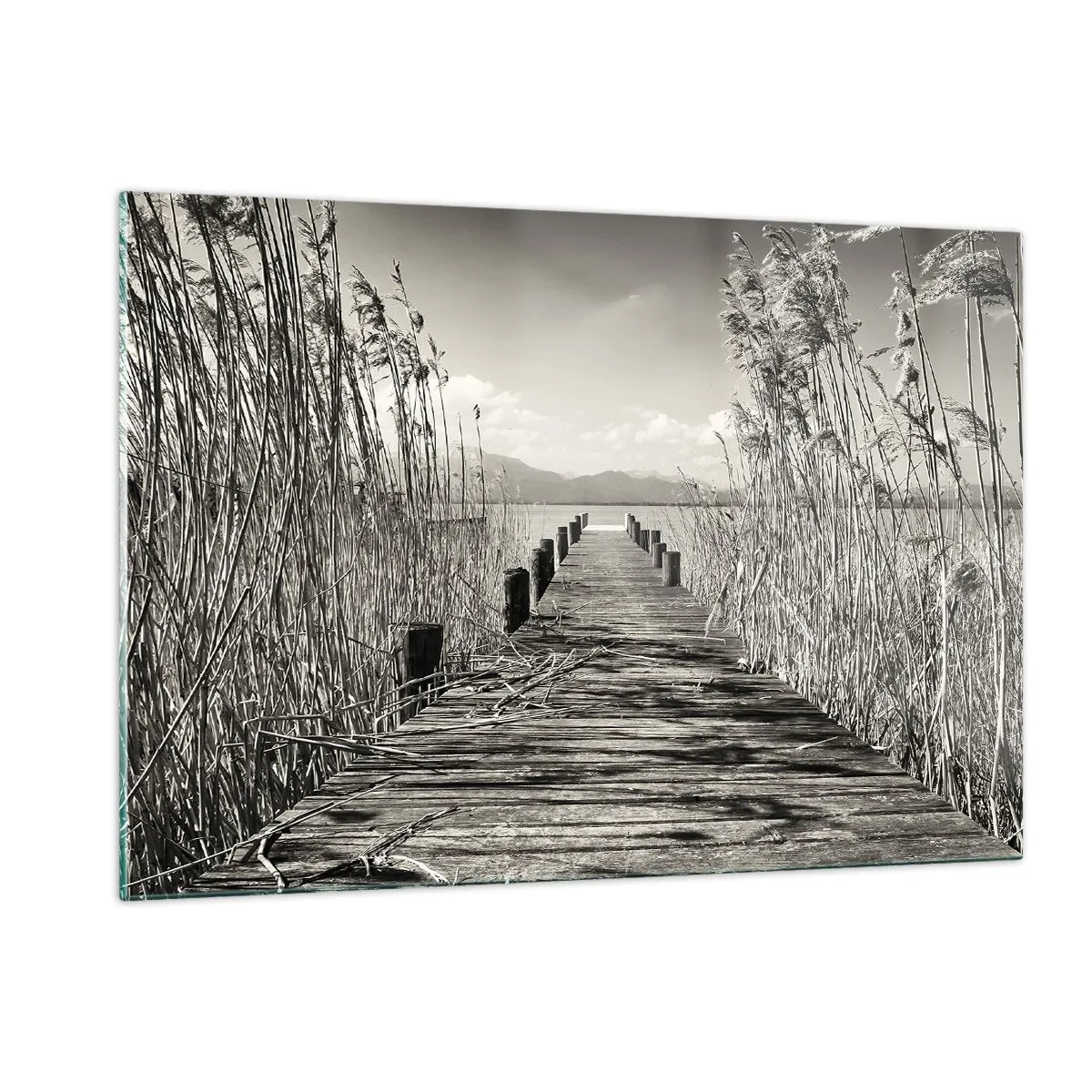 Obraz na skle - V ústraní travin - 120x80 cm