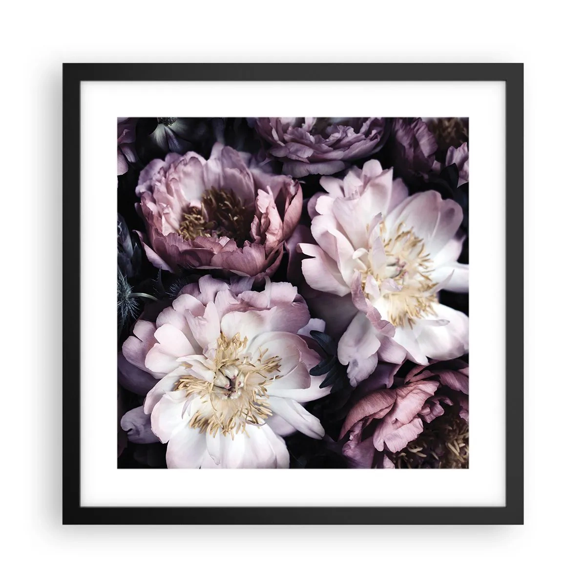 Plakát v černém rámu - Kytice ve starém stylu - 40x40 cm