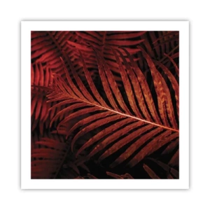 Plakát - Žár života - 60x60 cm