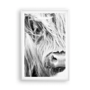 Plakát v bílém rámu - Skotská divokost - 61x91 cm