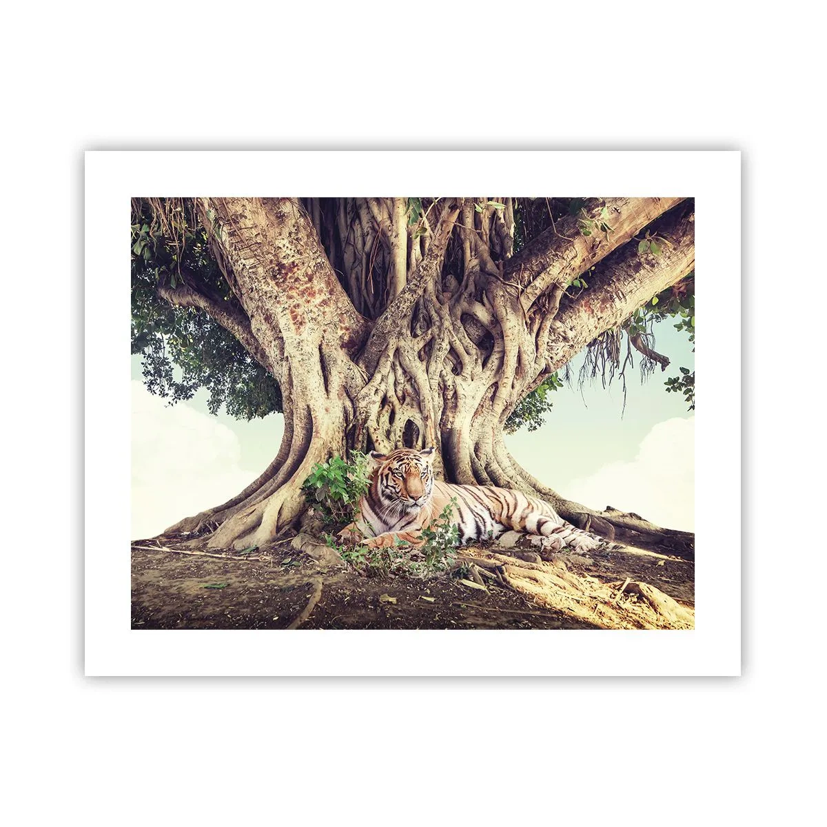 Plakát - Pohled z knihy Mojžíšovy - 50x40 cm