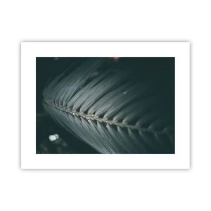 Plakát - Přesnost přírody - 40x30 cm