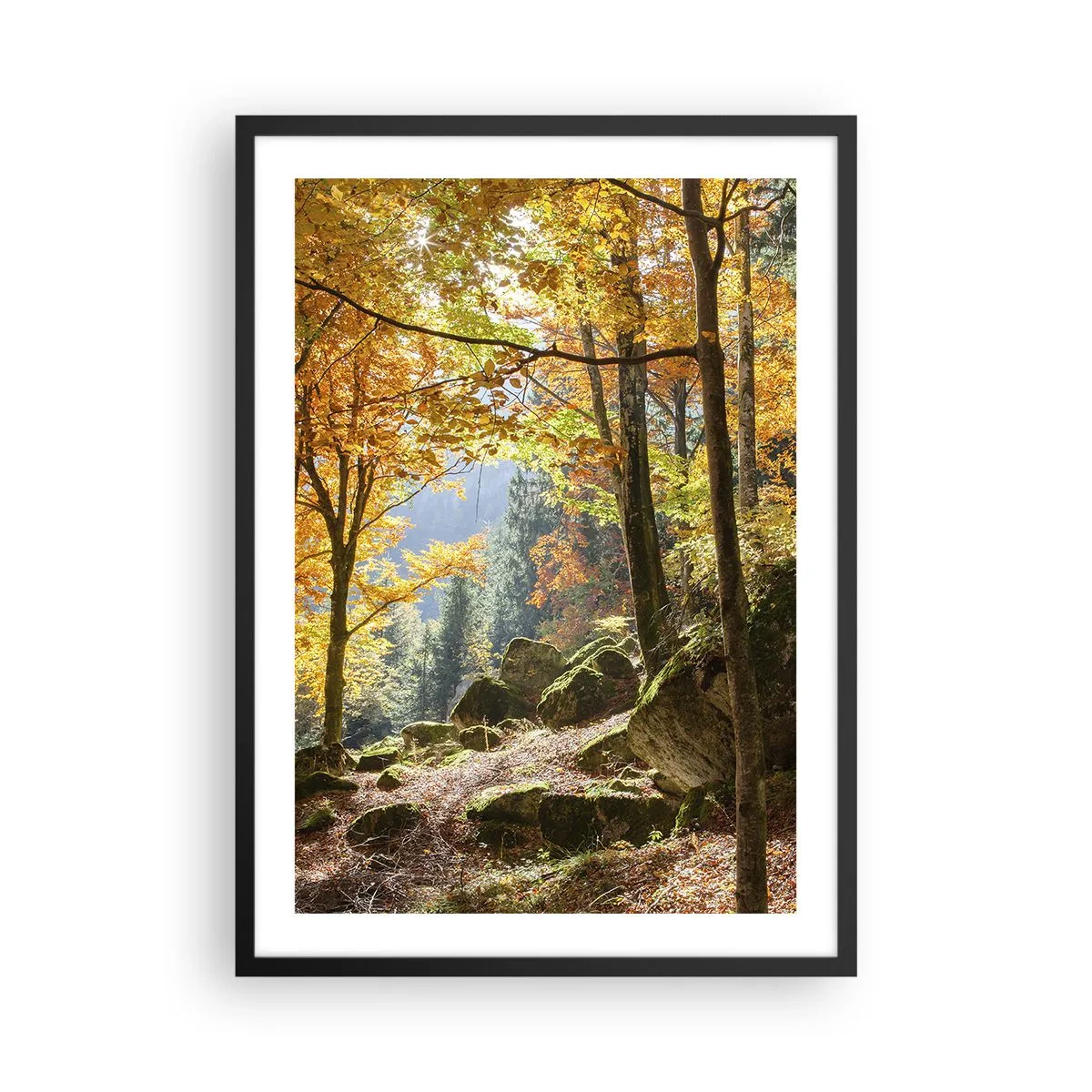 Plakát v černém rámu - Podzimní les se slunečními paprsky a mechem porostlými kameny - 50x70cm - Čas na odpočinek - Moderní nástěnná dekorace do obývacího pokoje a ložnice ARTTOR