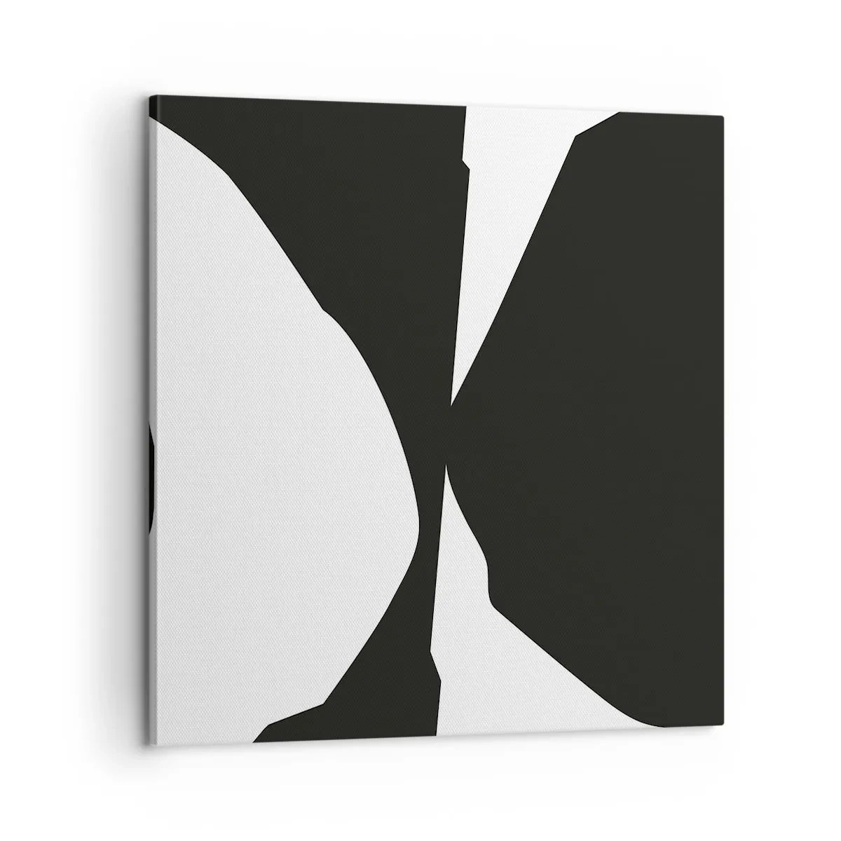 Obraz na plátně - Positive-negative - 60x60 cm