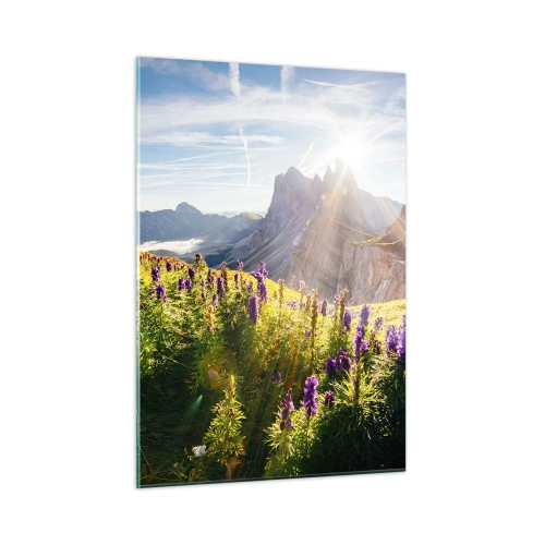 Obraz na skle - Tajemný život bylin - 50x70 cm