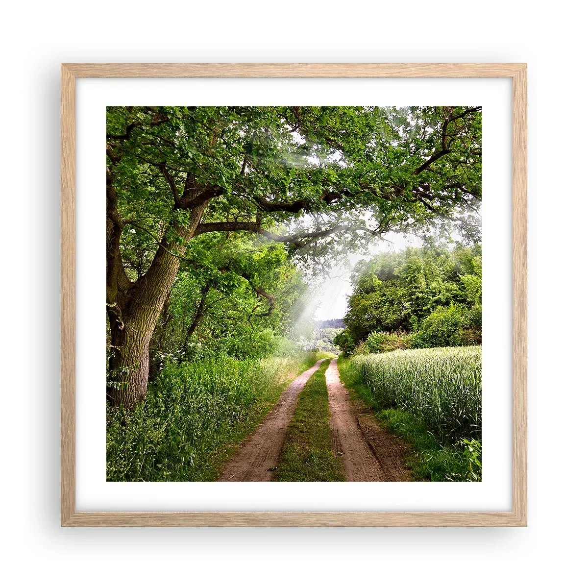 Plakát v rámu světlý dub - Et in Arcadia ego - 50x50 cm