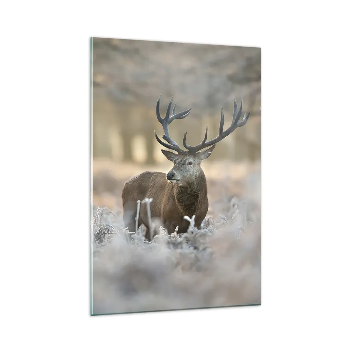 Obraz na skle - Svěží ráno - 80x120 cm