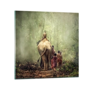 Obraz na skle - Nová Kniha džunglí - 70x70 cm