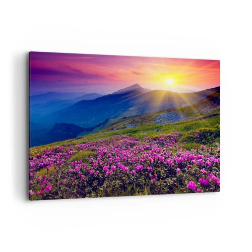 Obraz na plátně - …A kolem voní kosodřevina a voní byliny - 120x80 cm