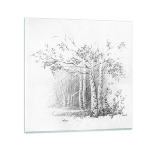 Obraz na skle - Světlo březového lesa - 60x60 cm
