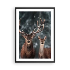 Plakát v černém rámu - Dvojice jelenů na pozadí zimního lesa - 50x70cm - Pán lesa se svou ženou - Moderní nástěnná dekorace do obývacího pokoje a ložnice ARTTOR