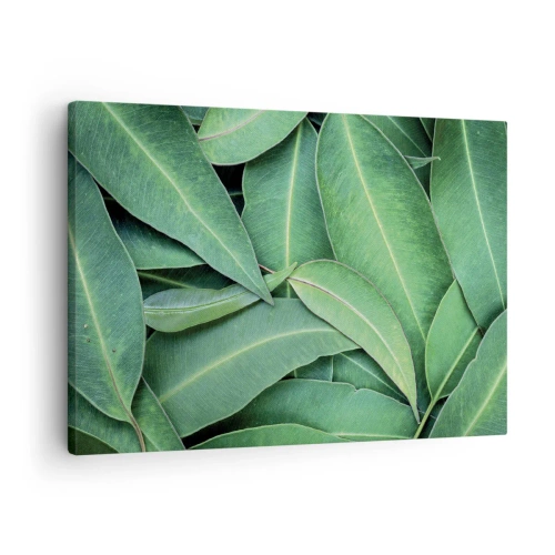 Obraz na plátně - Detail zelených listů vytvářejících přirozený vzor - 70x50cm - Šťavnaté a svěží - Moderní nástěnná dekorace do obývacího pokoje a ložnice ARTTOR