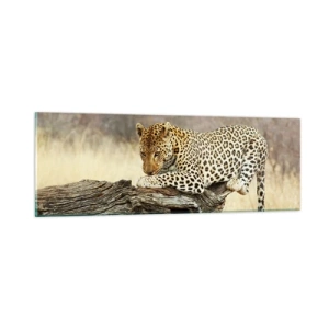 Obraz na skle - Chodím vlastními cestami - 90x30 cm