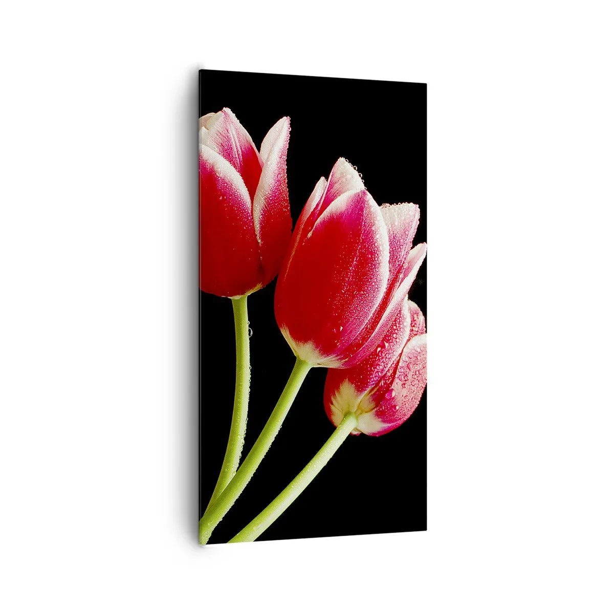 Obraz na plátně - Slib čisté lásky - 65x120 cm