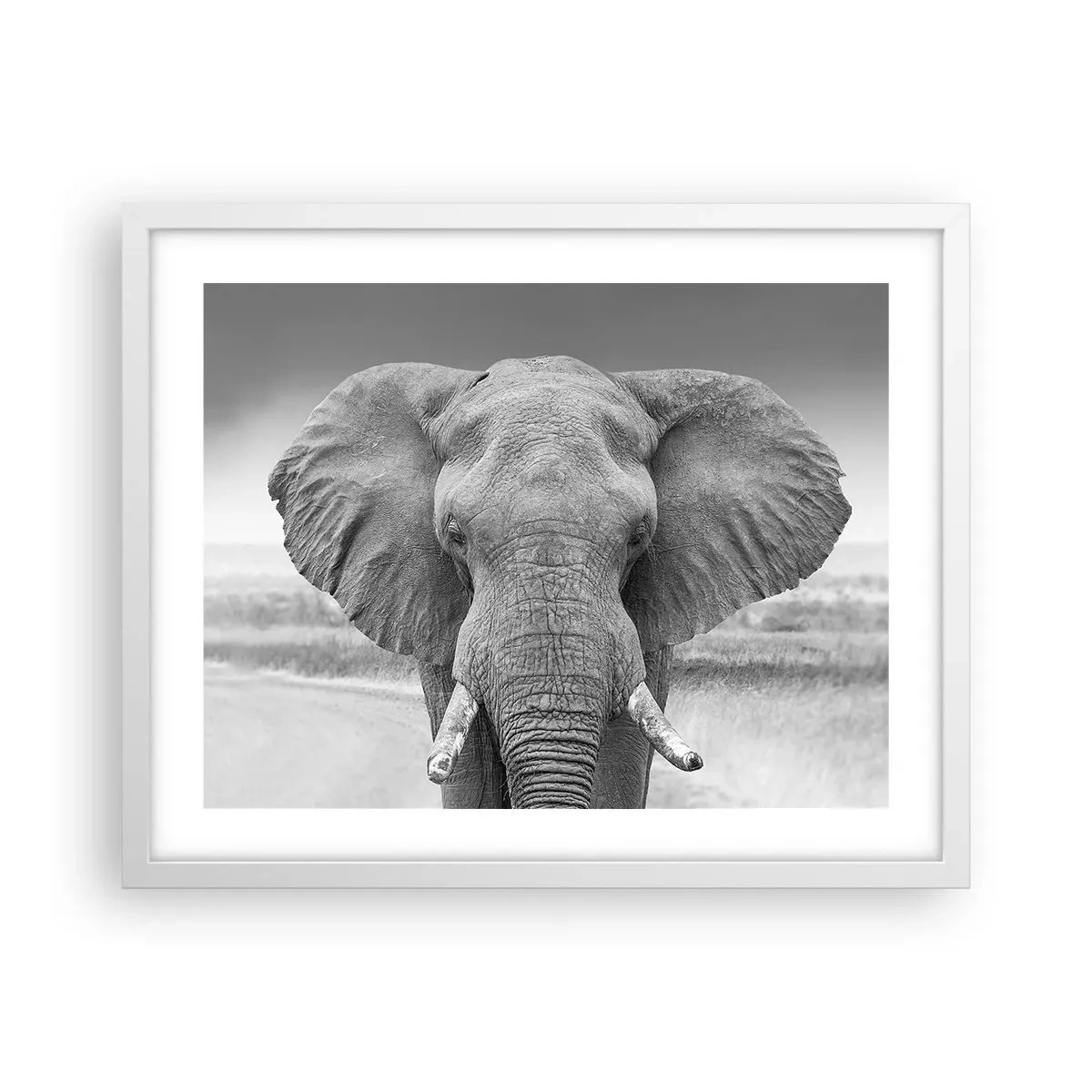 Plakát v bílém rámu - Vítejte v mém světě - 50x40 cm