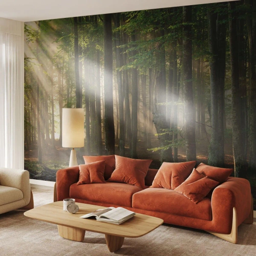 Fototapeta Standard Eco - Rozzářený v jarním ránu - Krajina, Les, Park - 150x105 cm