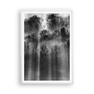 Plakát v bílém rámu - V paprscích světla - 70x100 cm
