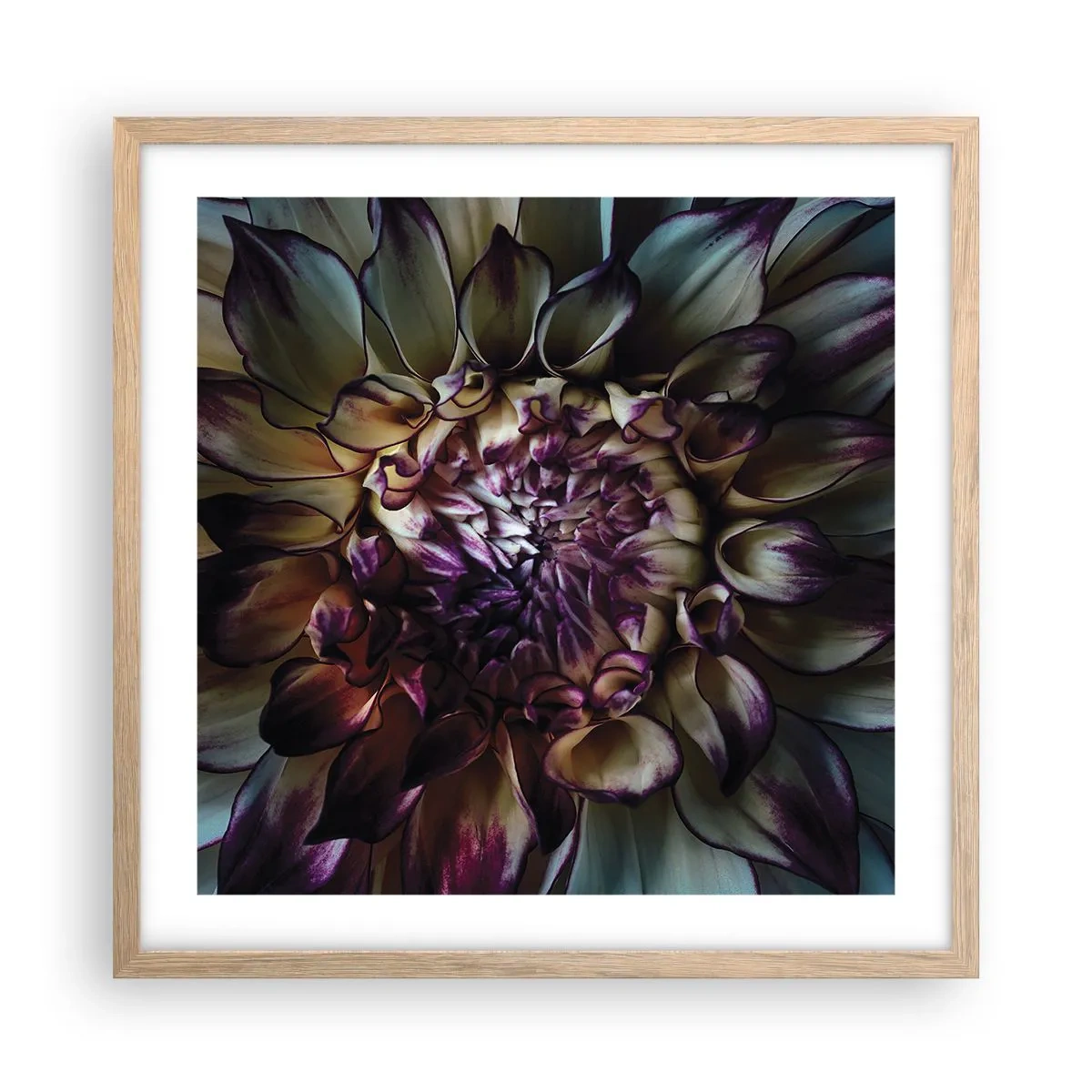 Plakát v rámu světlý dub - Rozkvět mládí - 50x50 cm