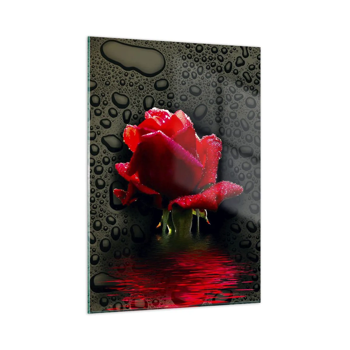 Obraz na skle - Červené a černé - 50x70 cm