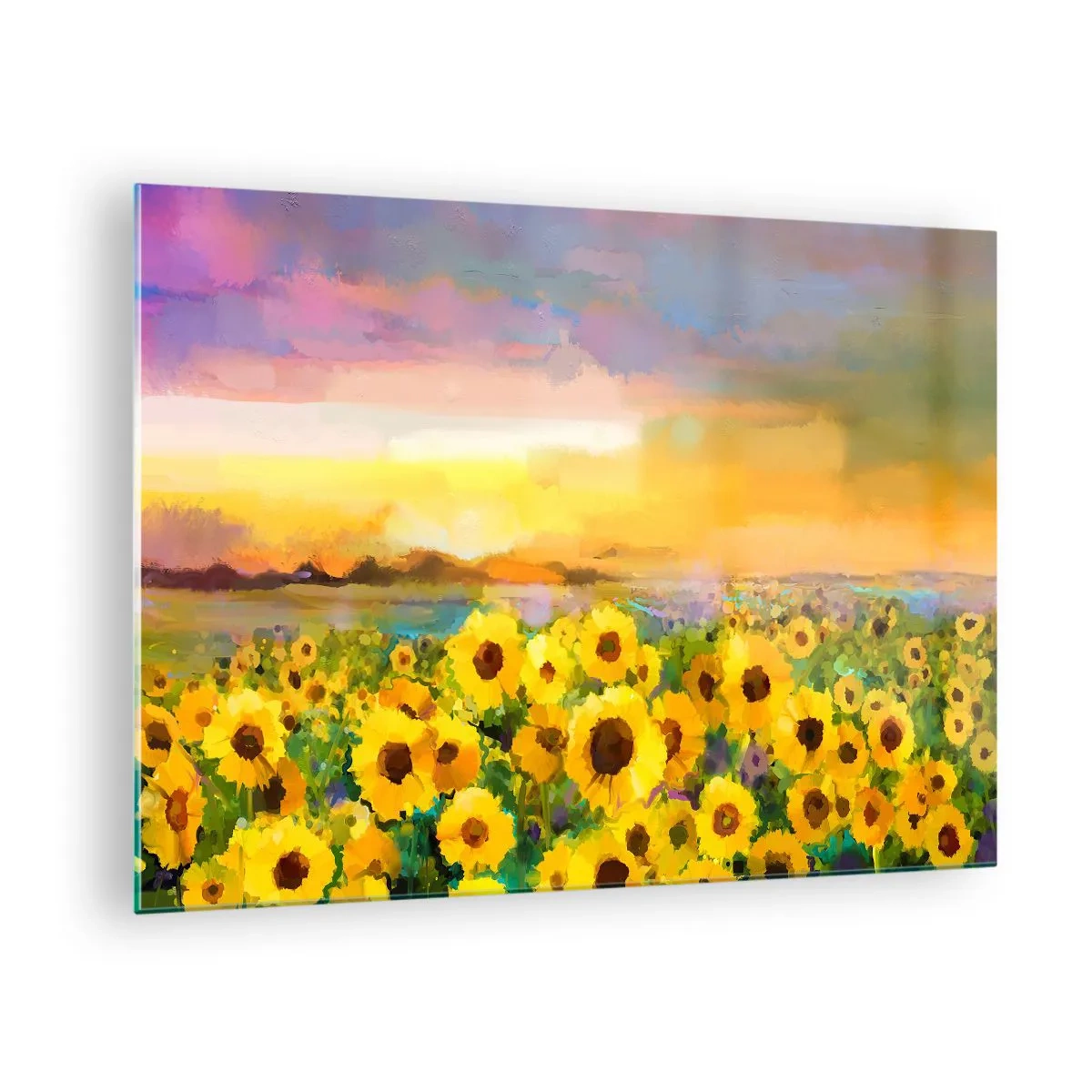Obraz na skle - Pole slunečnic ve světle zapadajícího slunce - 70x50cm - Samotné slunce sestoupilo na zem - Moderní nástěnná dekorace do obývacího pokoje a ložnice ARTTOR