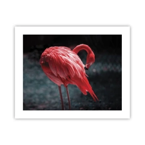 Plakát - Karmínová báseň přírody - 50x40 cm