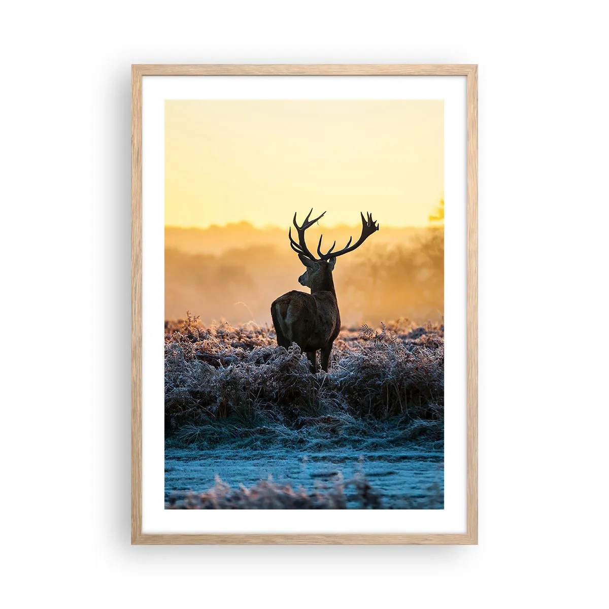 Plakát v rámu světlý dub - Korunován na svém panství - 50x70 cm