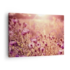 Obraz na plátně - Louka ve světle zapadajícího slunce - 70x50cm - Než skončí léto - Moderní nástěnná dekorace do obývacího pokoje a ložnice ARTTOR