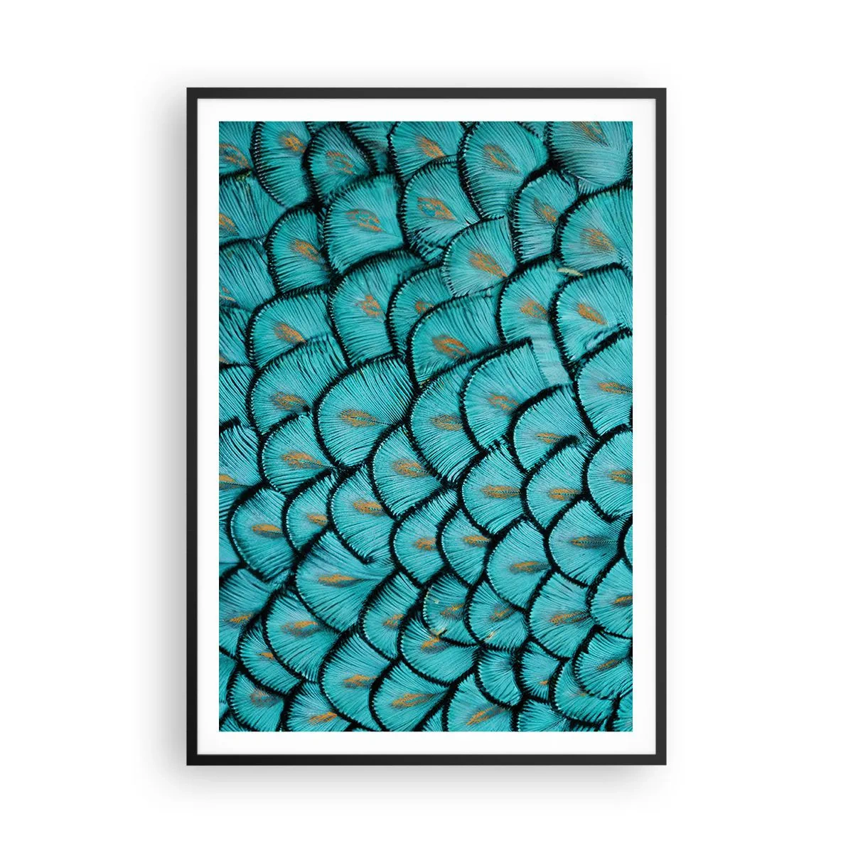 Plakát v černém rámu - Velká slavnost peří - 70x100 cm