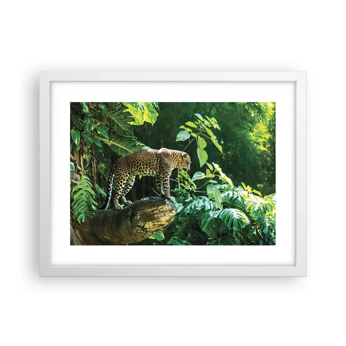 Plakát v bílém rámu - Na lov? - 40x30 cm