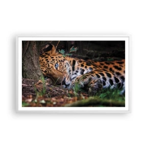 Plakát v bílém rámu - Věř mi - 91x61 cm