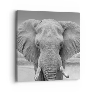 Obraz na plátně - Vítejte v mém světě - 40x40 cm