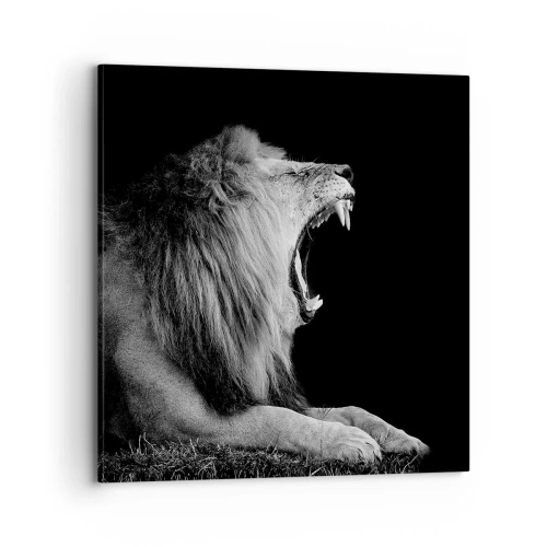 Obraz na plátně - Bez nejmenších pochyb - 70x70 cm