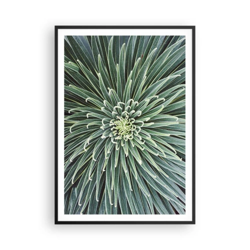 Plakát v černém rámu - Zrození hvězdy - 70x100 cm