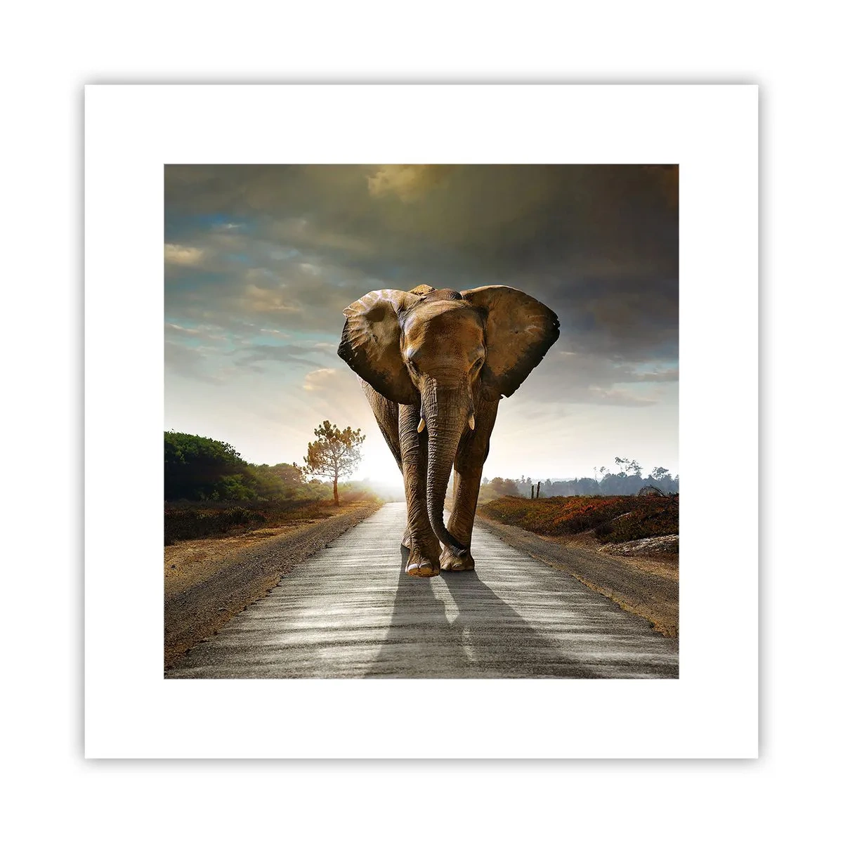 Plakát - A vůbec ne ve skladu porcelánu - 30x30 cm