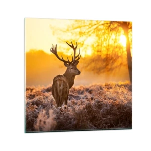 Obraz na skle - Král podzimního lesa - 40x40 cm