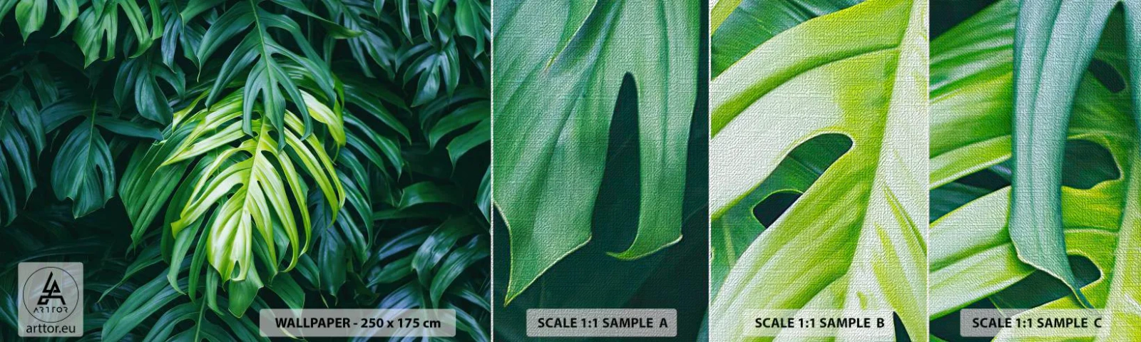 Vzor Fototapety Premium Canvas - Ponořit se do svěžesti - Tropická rostlina, List Monstera, Příroda - 100x30 cm