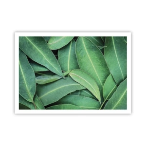 Plakát - Šťavnaté a svěží - 100x70 cm