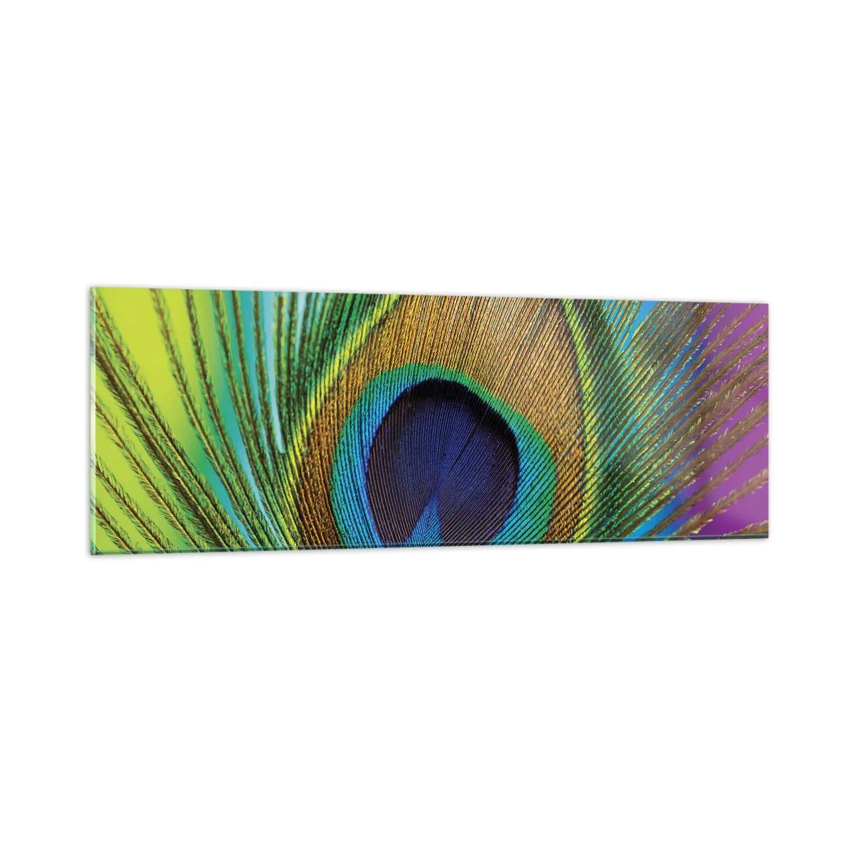 Obraz na skle - Tváří v tvář - 90x30 cm
