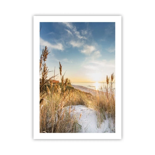 Plakát - Severní pláž - 50x70 cm