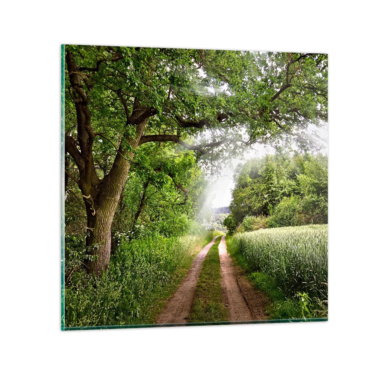 Obraz na skle - Et in Arcadia ego - 50x50 cm