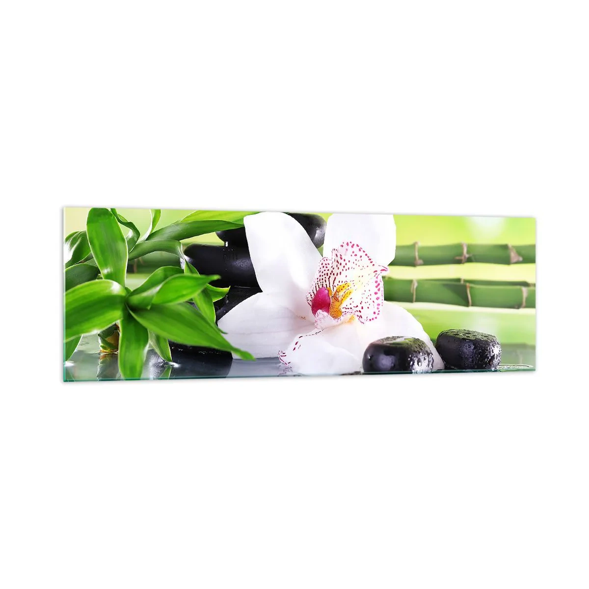 Obraz na skle - Chladná svěžest - 160x50 cm