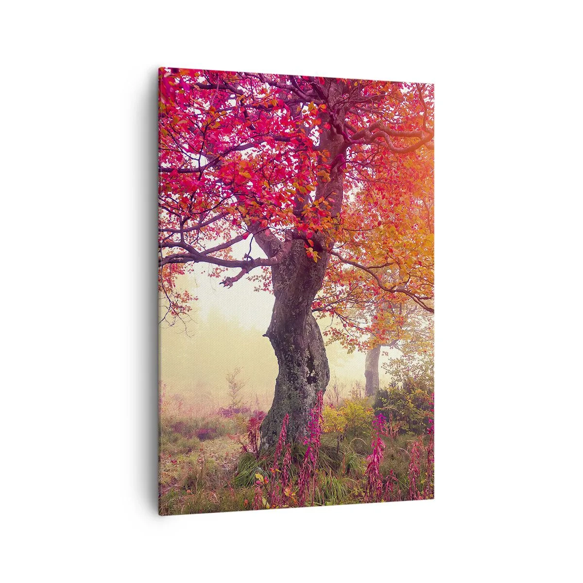 Obraz na plátně - Šílenství rozkvětu - 70x100 cm