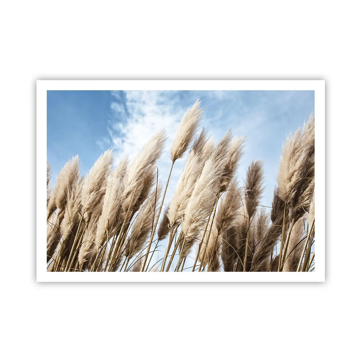 Plakát - Slunečné a větrné pohlazení - 100x70 cm