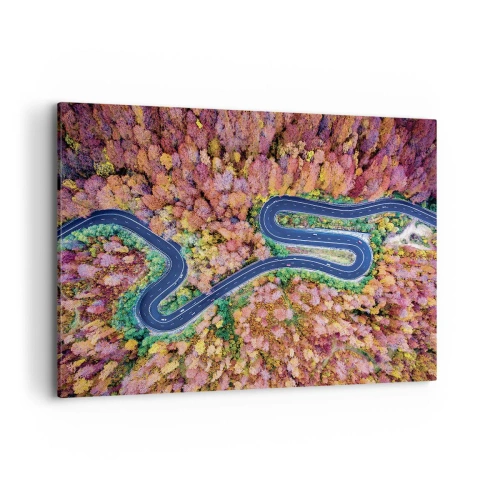 Obraz na plátně - Klikatá cesta lesem - 100x70 cm