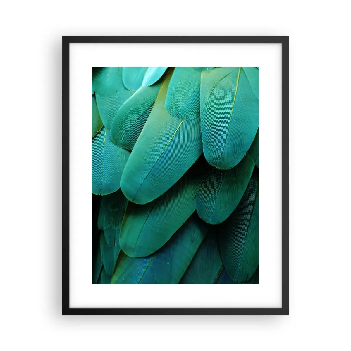 Plakát v černém rámu - Přesnost papouščí povahy - 40x50 cm