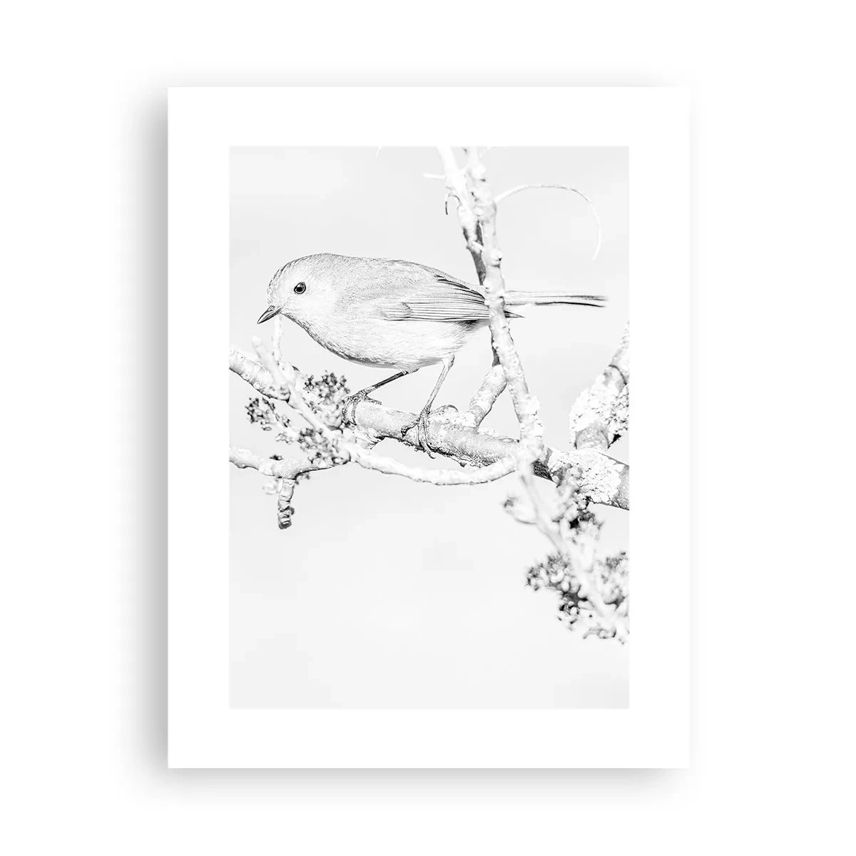 Plakát - Zimní ráno - 30x40 cm