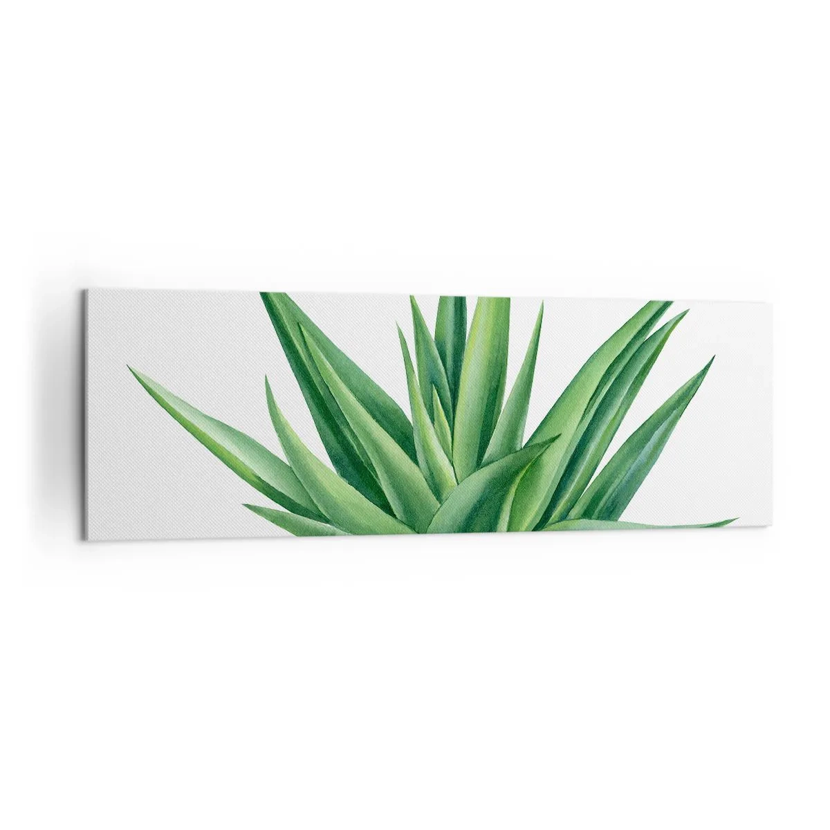 Obraz na plátně - Zelená – síla – život - 160x50 cm