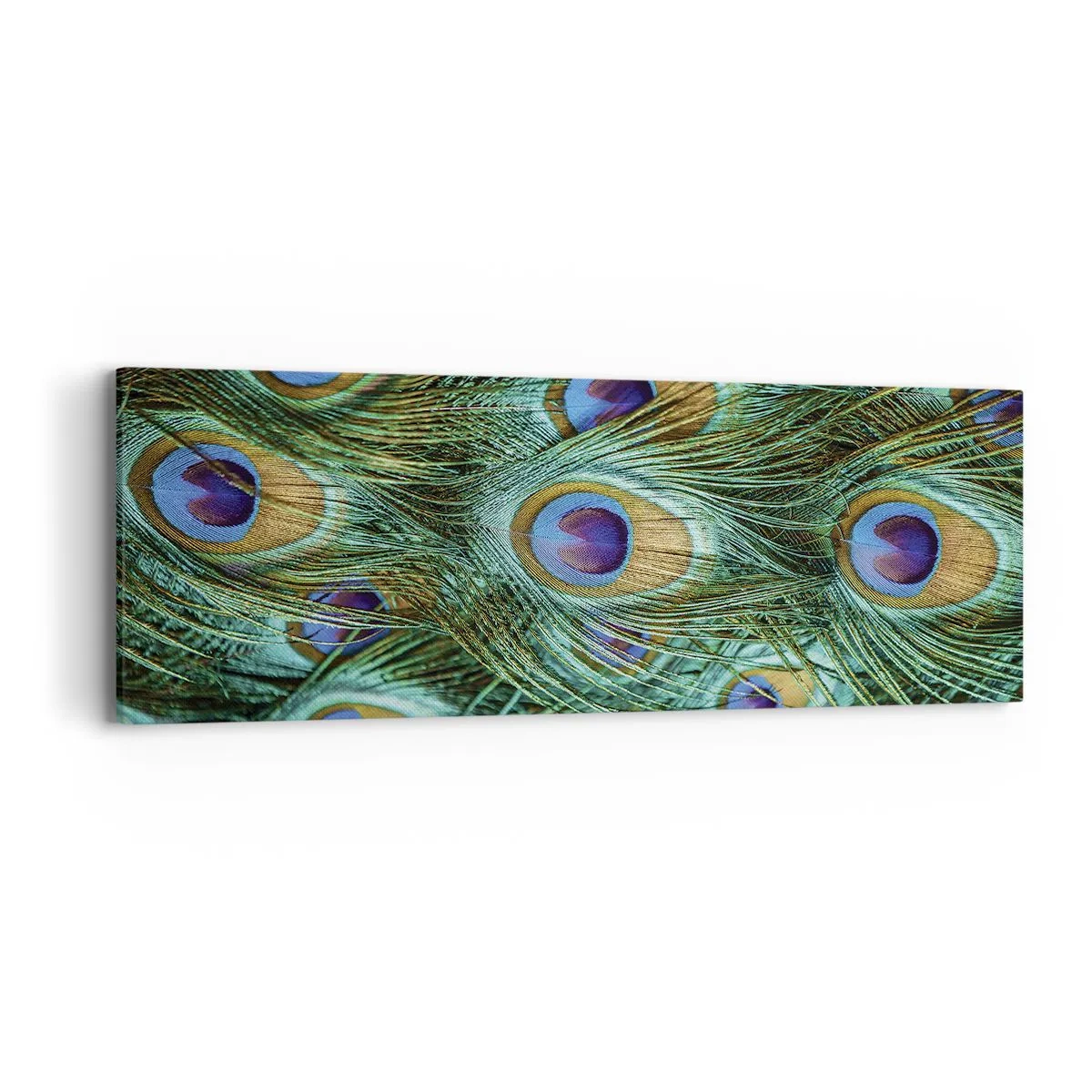 Obraz na plátně - Paví pohled - 90x30 cm