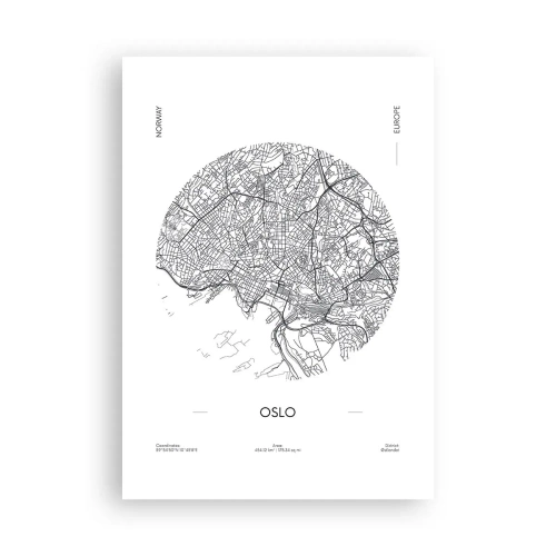 Plakát - Anatomie Osla - 70x100 cm